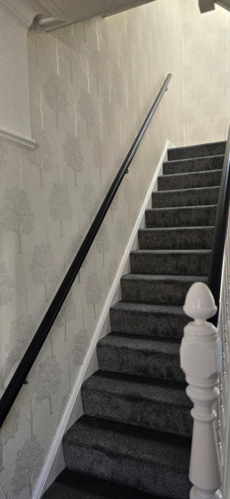 Apartament Alexandra Park House Belfast Zewnętrze zdjęcie